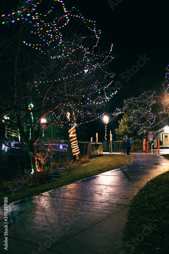The lights of bowring park at christmas photo