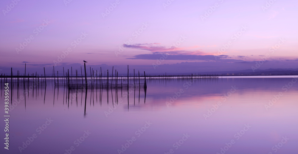 L´albufera de Valencia 