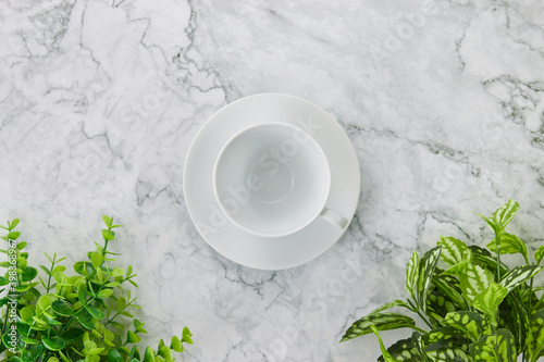 White Coffee Cup on Modern Clean Flat Lay or Top View Office Desk or Office Table and Tree or Plants at Bottom on Marble Minimalist Background