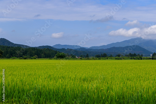 秋の田園風景 東北 秋田県