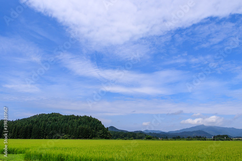 秋の田園風景　東北　秋田県