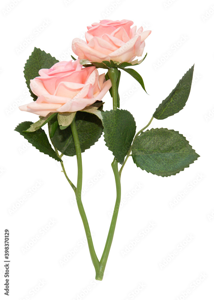 Obraz premium Isolated artificial single pink and white rose flowers on white background. Bud and leaf of pink rose flower isolated on white. Tea rose. Aroma rose flowers. Fabric flowers