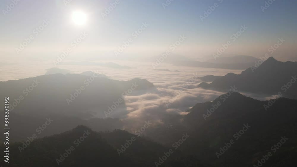 the birds eye view of the tropical forest. the birds eye view of the tropical forest.