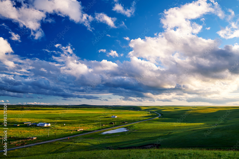 Fototapeta premium The beautiful summer grassland scenic of Hulunbuir of China.