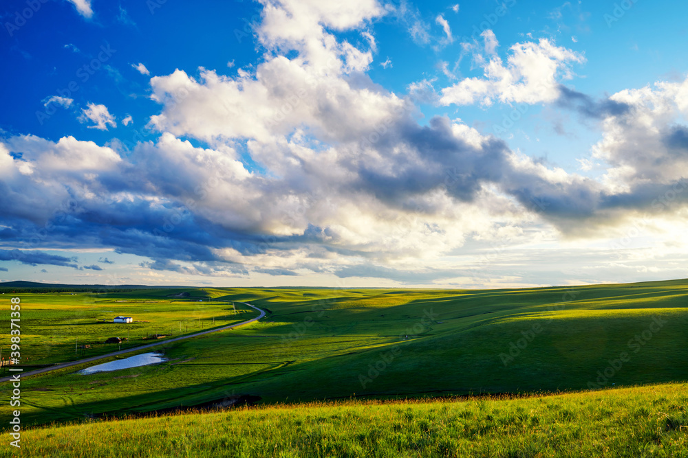 Fototapeta premium The beautiful summer grassland scenic of Hulunbuir of China.