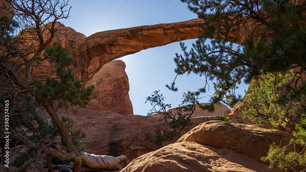 Obraz premium Arches National Park