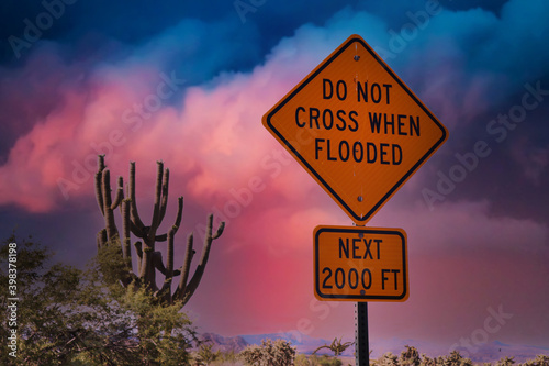 Huge Saguaro before a storm with Flood Warning Sign