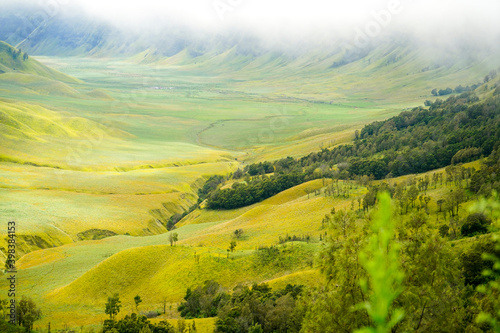 Green grass field with cloud in the morning. Landscape view of Bromo Savannah © Ara Creative