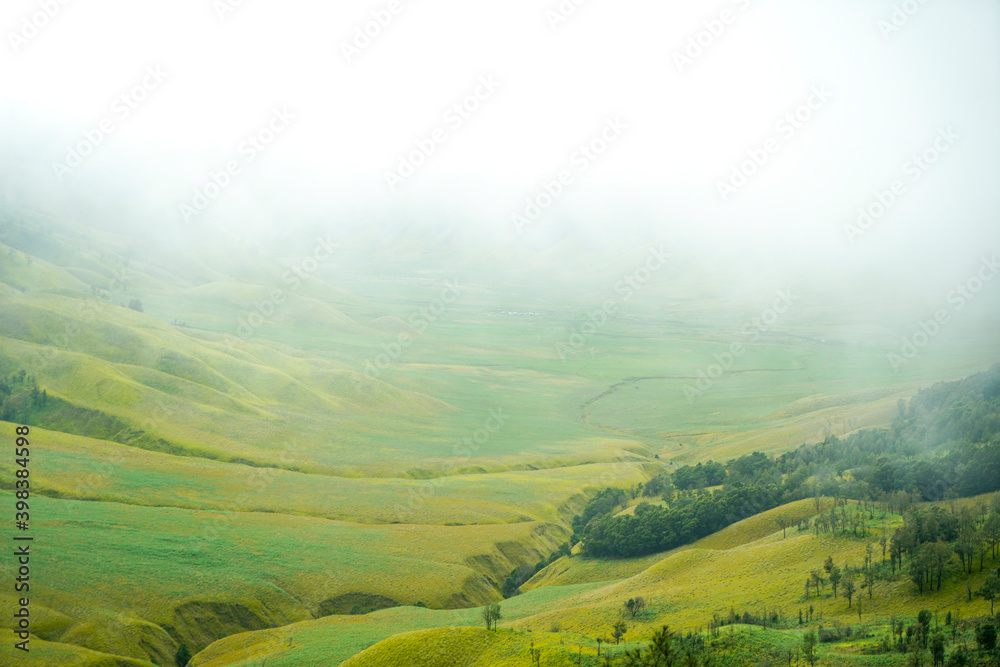 Green grass field with cloud in the morning. Landscape view of Bromo Savannah