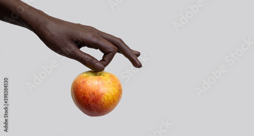 An African-American hand, with fingers spread out, holds a ripe delicious Apple by a twig on a gray isolated background. Copy space, selective focus, banner