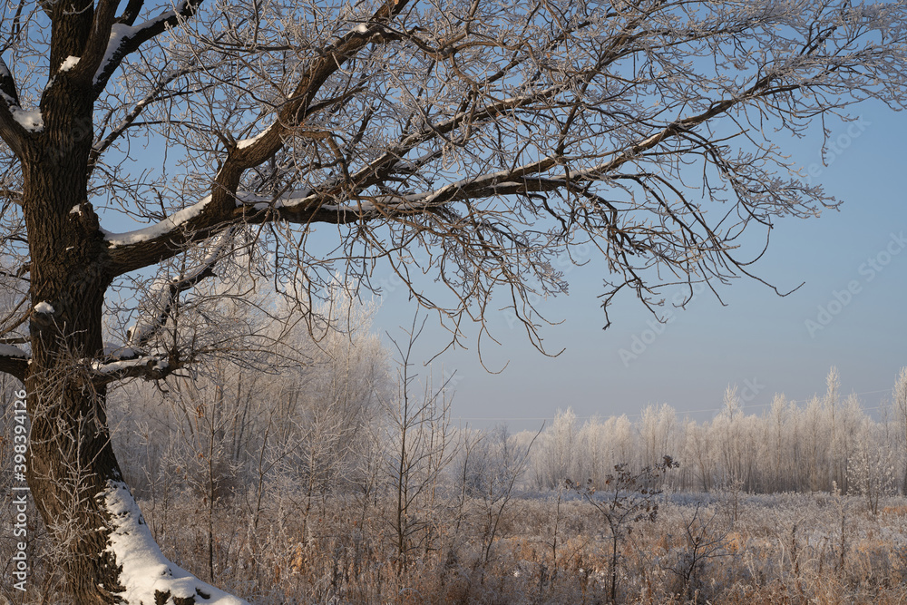 Breath of winter, first ice on the lake, dawn on a frosty morning with frost on the grass, close-up of frost, patterns on the first ice.