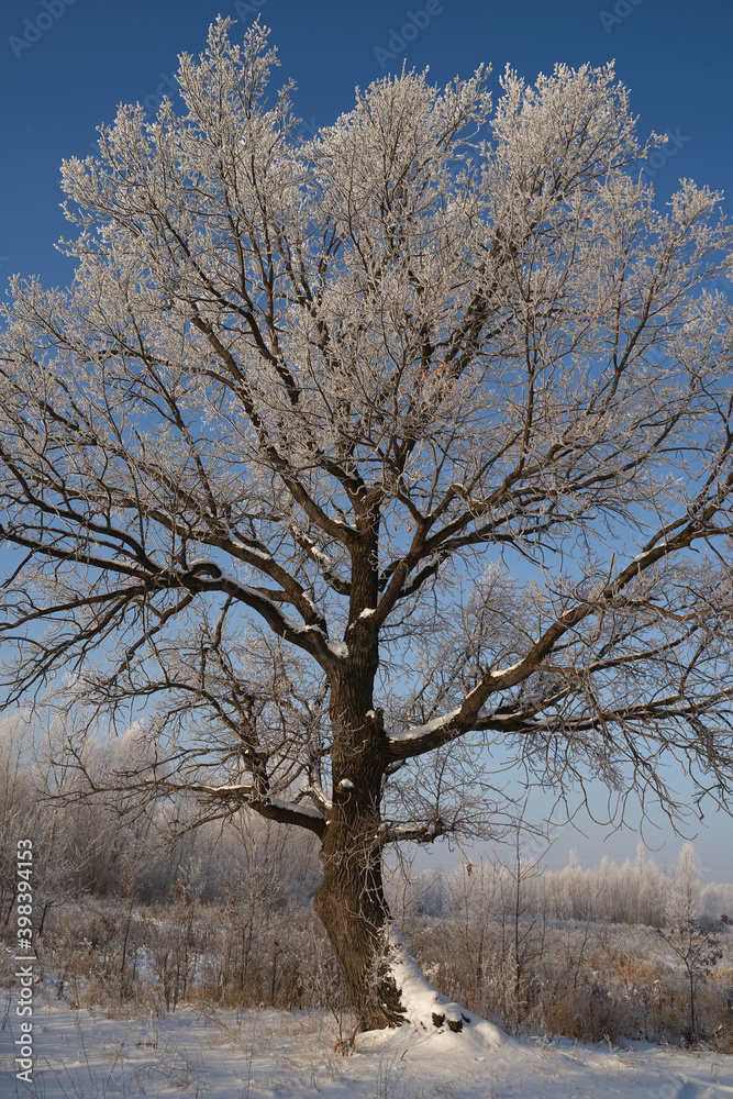 Breath of winter, first ice on the lake, dawn on a frosty morning with frost on the grass, close-up of frost, patterns on the first ice. Breath of winter, first ice on the lake, dawn on a frosty morning with frost on the grass, close-up of frost, patterns on the first ice.