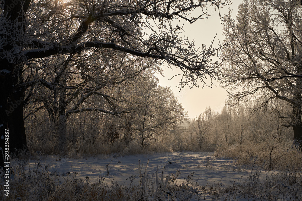 Breath of winter, first ice on the lake, dawn on a frosty morning with frost on the grass, close-up of frost, patterns on the first ice. Breath of winter, first ice on the lake, dawn on a frosty morning with frost on the grass, close-up of frost, patterns on the first ice.