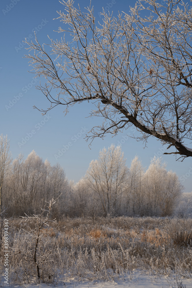 Breath of winter, first ice on the lake, dawn on a frosty morning with frost on the grass, close-up of frost, patterns on the first ice. Breath of winter, first ice on the lake, dawn on a frosty morning with frost on the grass, close-up of frost, patterns on the first ice.