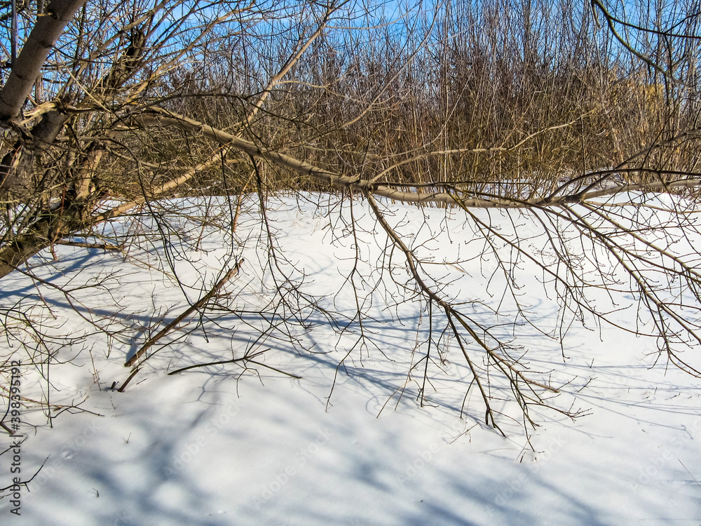 Obraz premium Shadows on the snowy surface