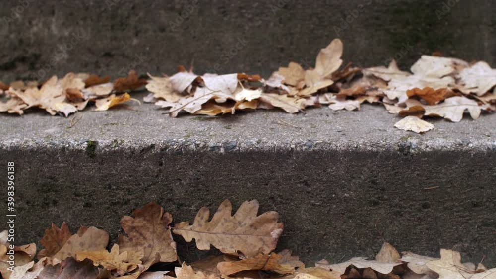 Camera sliding up the stairs covered with dry oak leaves close up slow motion. Detailed moving shot of autumnal foliage lying on ground. Brown fading nature in autumn. Environment seasonal change Camera sliding up the stairs covered with dry oak leaves close up slow motion. Detailed moving shot of autumnal foliage lying on ground. Brown fading nature in autumn. Environment seasonal change