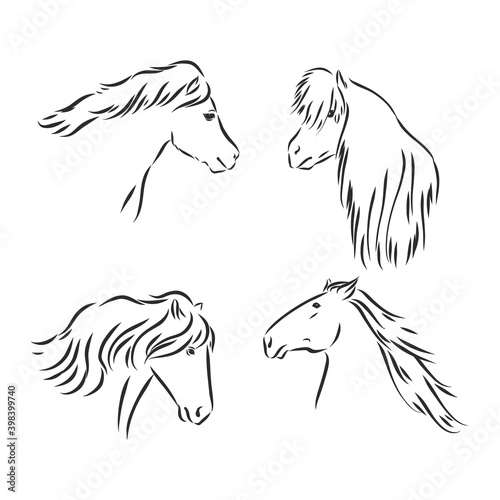 Black and white sketch of horse. horse vector sketch illustration
