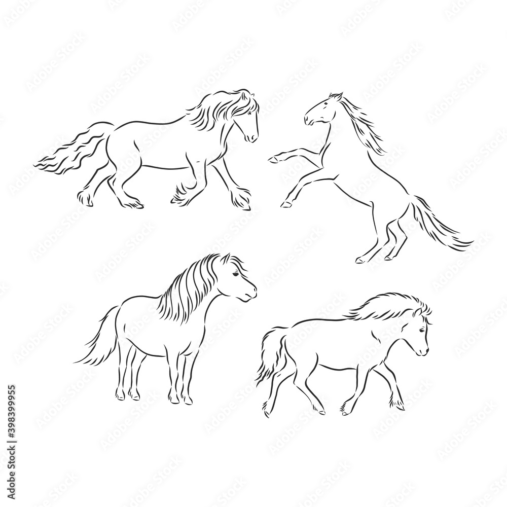 Black and white sketch of horse. horse vector sketch illustration Black and white sketch of horse. horse vector sketch illustration