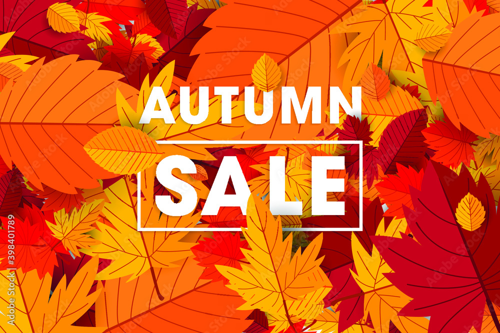 Autumn sale discount offer with leaves. Eps 10 vector illustration.
