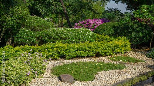 Gravel garden decorated white gravel, rock, stone and green leaves plant