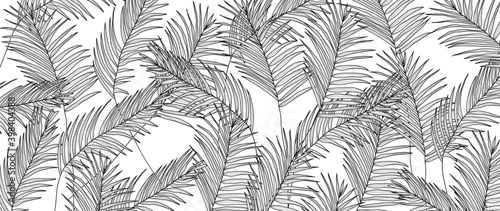 Luxury Black and White Palm leaves background vector. Tropical coconut and Jungle leaves summer wallpaper.