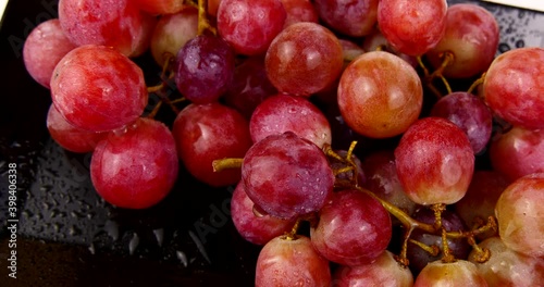 a bunch of pink grapes berries close-up 4k video