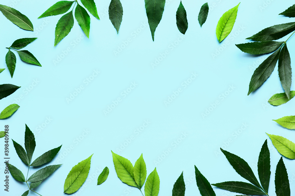 Frame made of green ash leaves on color background