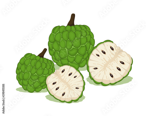Sweet cherimoya tropical fruit vector design, whole fruit and half