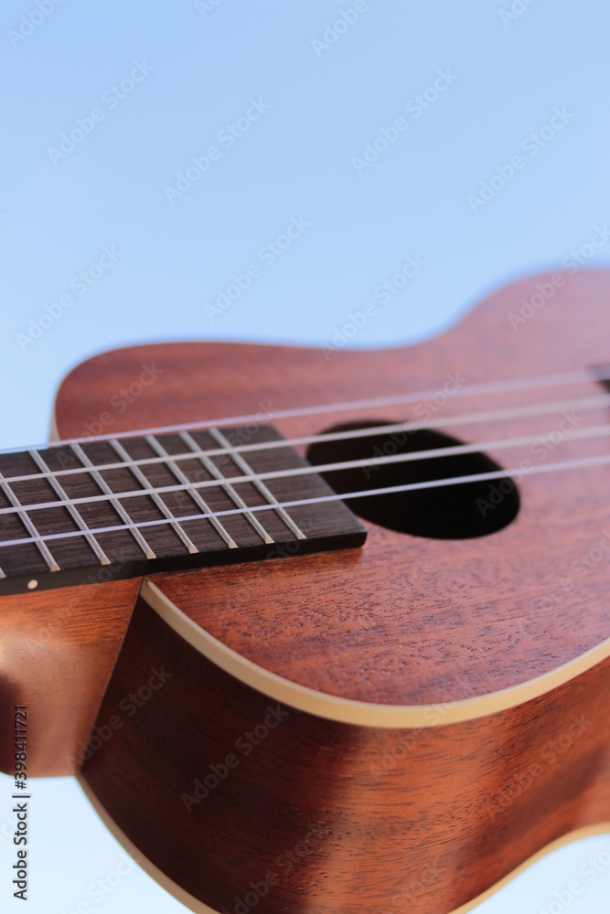 Fototapeta premium ukulélé