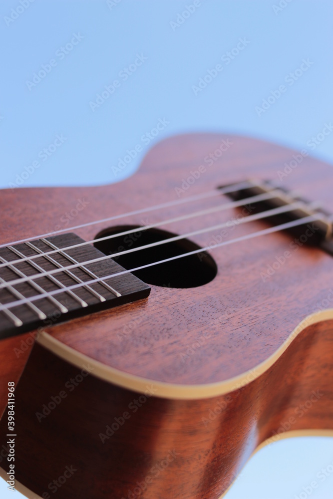 Fototapeta premium ukulélé