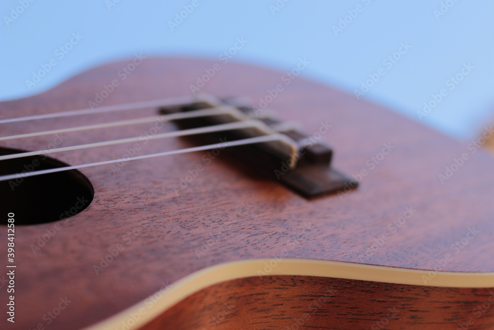 Fototapeta premium ukulélé