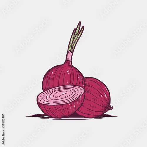 Organic Red Onion Vintage Vector Hand Drawn Illustration