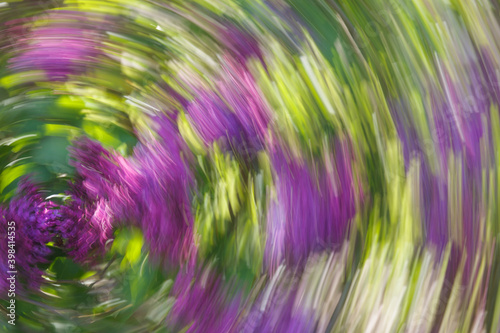 Artsy swirling motion blurred purple flowers