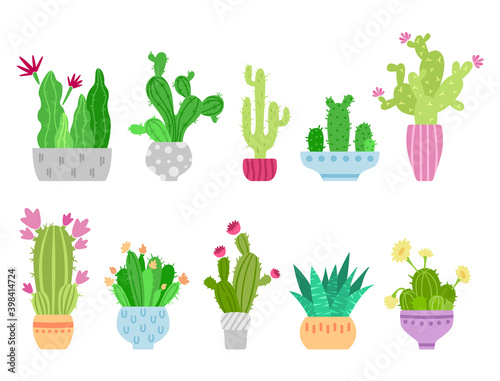 Cartoon cactus and succulent clipart - isolated cute potted cacti images on white background, vector bundle with desert green blooming palnts, colorful icons set