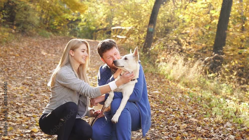 beautiful married couple in autumn forest hugging and petting their favorite dog while walking with it on a Sunny day in the Park. beautiful married couple in autumn forest hugging and petting their favorite dog while walking with it on a Sunny day in the Park.