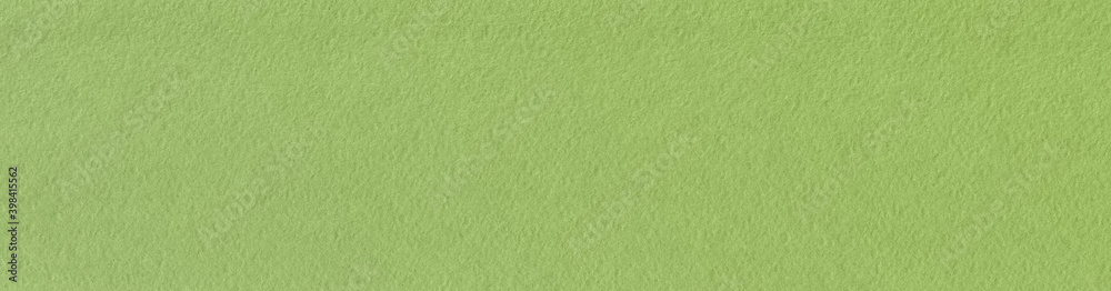 Fototapeta premium green paper texture