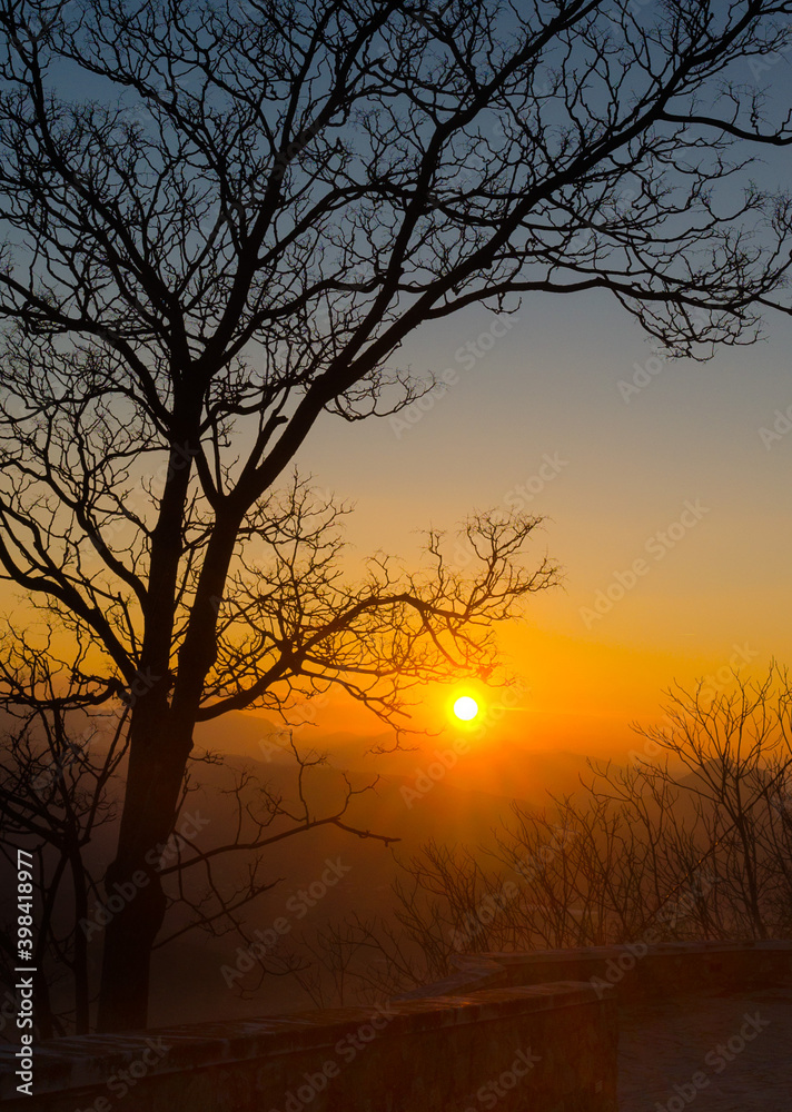 la luz del sol la luz del sol