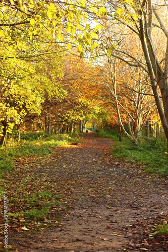 Empty path in the park on a beautiful autumn day