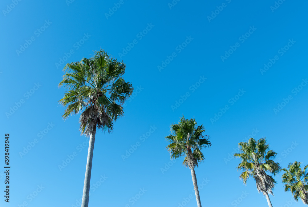 Obraz premium 開放的な気分