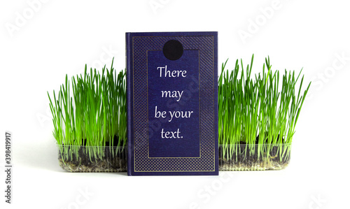 Blue book with space for text stands next to grass on white isolated background with clipping path.