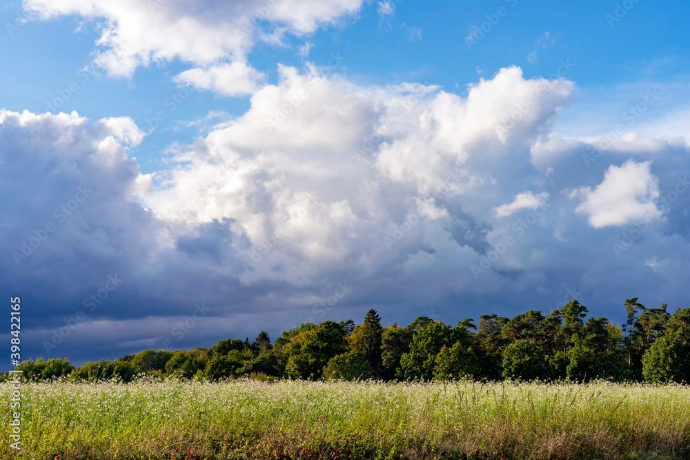 Stormy weather clouds over the field Stormy weather clouds over the field