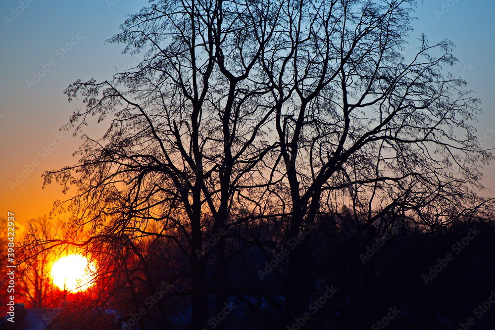 Sunrise over the winter forest in the suburbs. Sunrise over the winter forest in the suburbs.