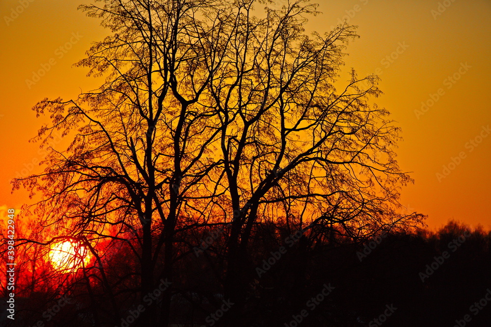 Sunrise over the winter forest in the suburbs. Sunrise over the winter forest in the suburbs.