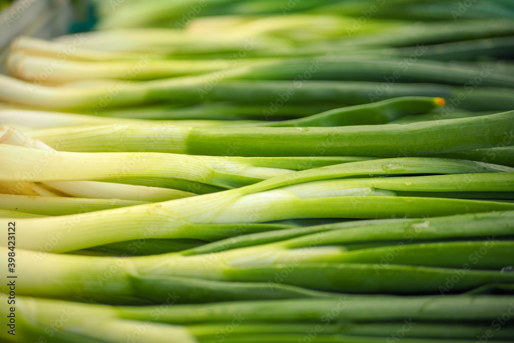 Fresh green spring onions on the farmers market. Selective focus Fresh green spring onions on the farmers market. Selective focus