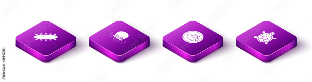 Set Isometric Sea cucumber, Octopus, Puffer fish on plate and Turtle icon. Vector.