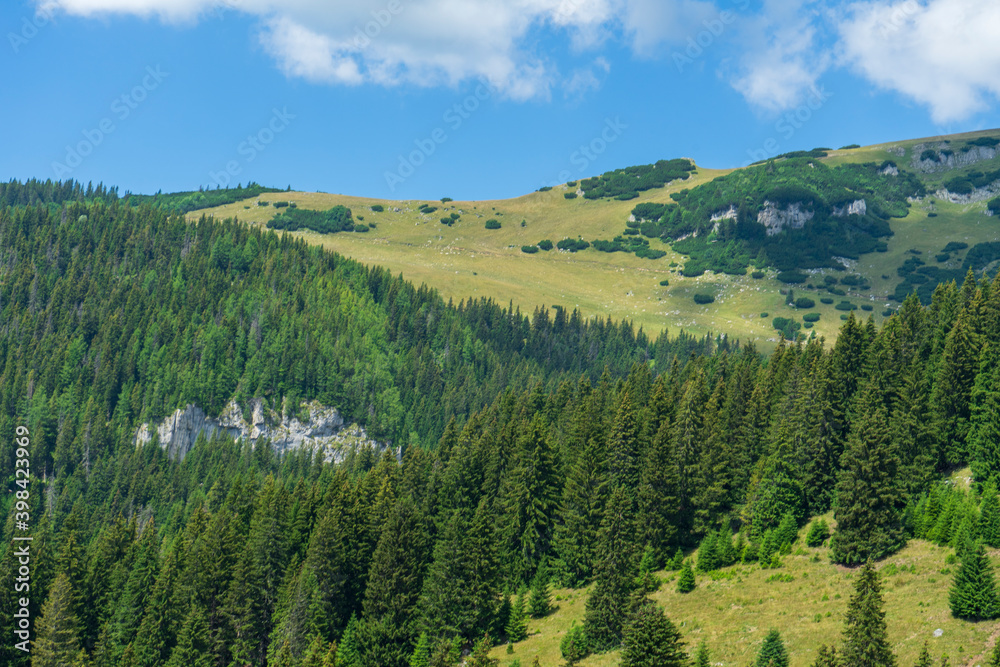 Obraz premium View from Bucegi mountains, Romania, Bucegi National Park