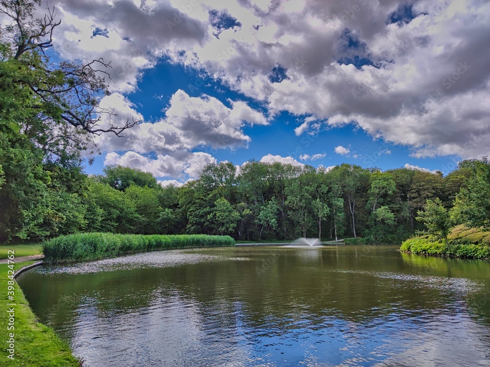 lake in the forest