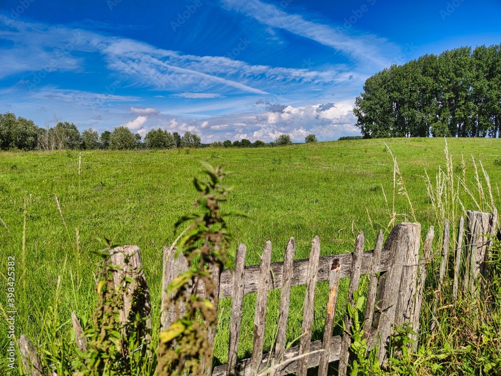 Obraz premium landscape with fence