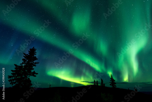 Beautiful shot of aurora borealis, Dawson City, Yukon, Canada