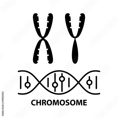 chromosome icon, black vector sign with editable strokes, concept illustration